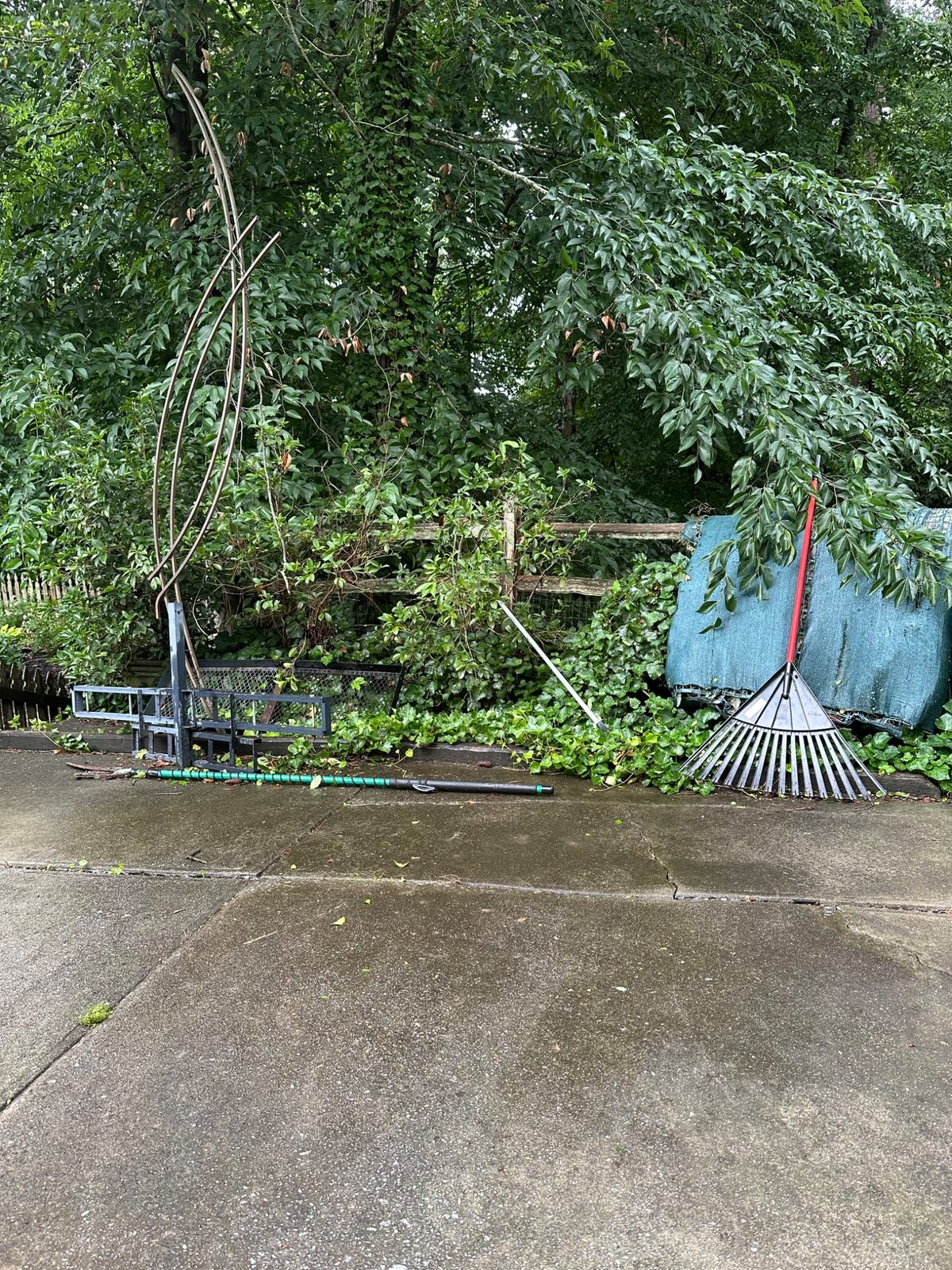 Clean driveway after yard debris removal