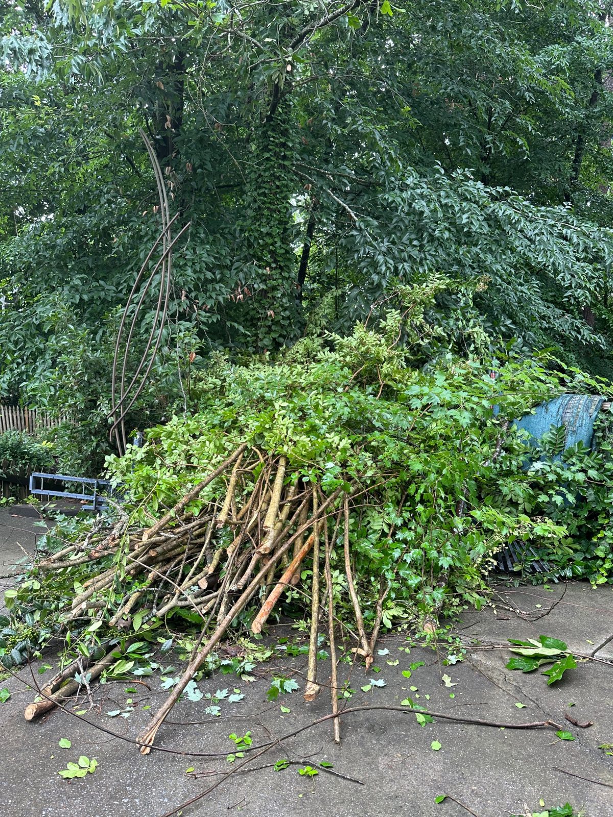 Large pile of yard debris before removal